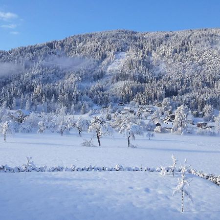 Apartment-Ferienwohnung 3 Treffen Am Ossiachersee Exteriér fotografie
