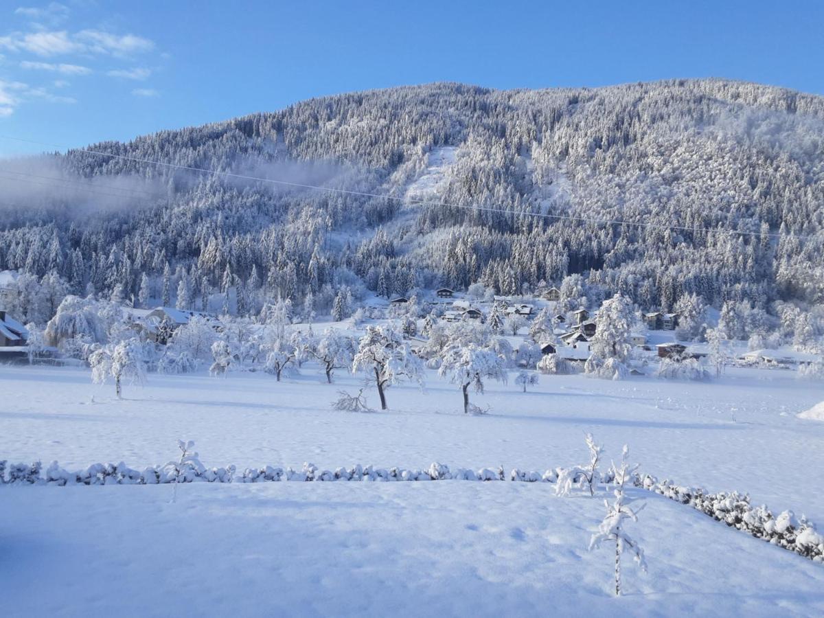 Apartment-Ferienwohnung 3 Treffen Am Ossiachersee Exteriér fotografie
